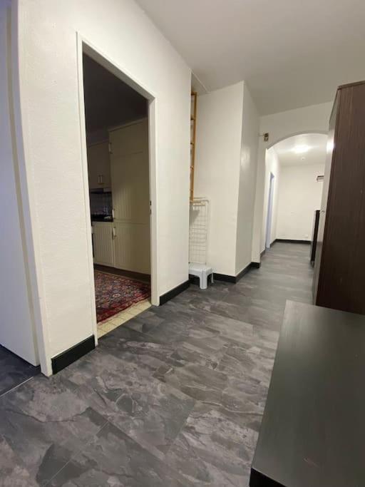 Fain Apartments Francoforte sul Meno Esterno foto